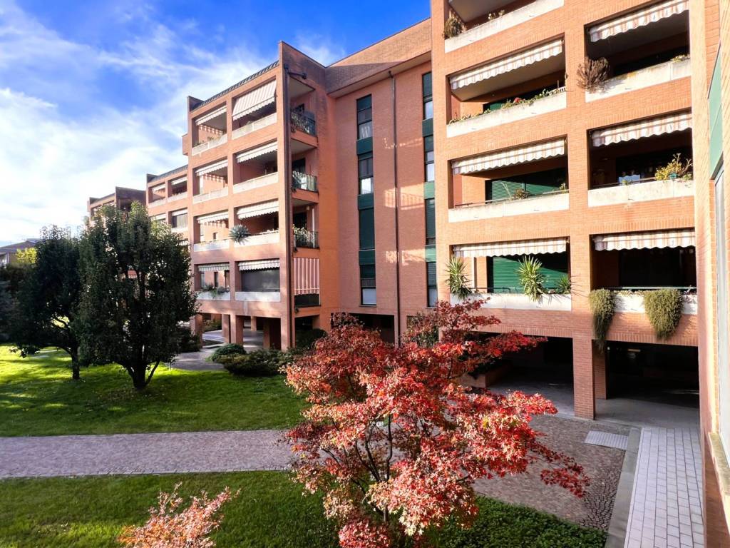 immagine annuncio 4 di 5