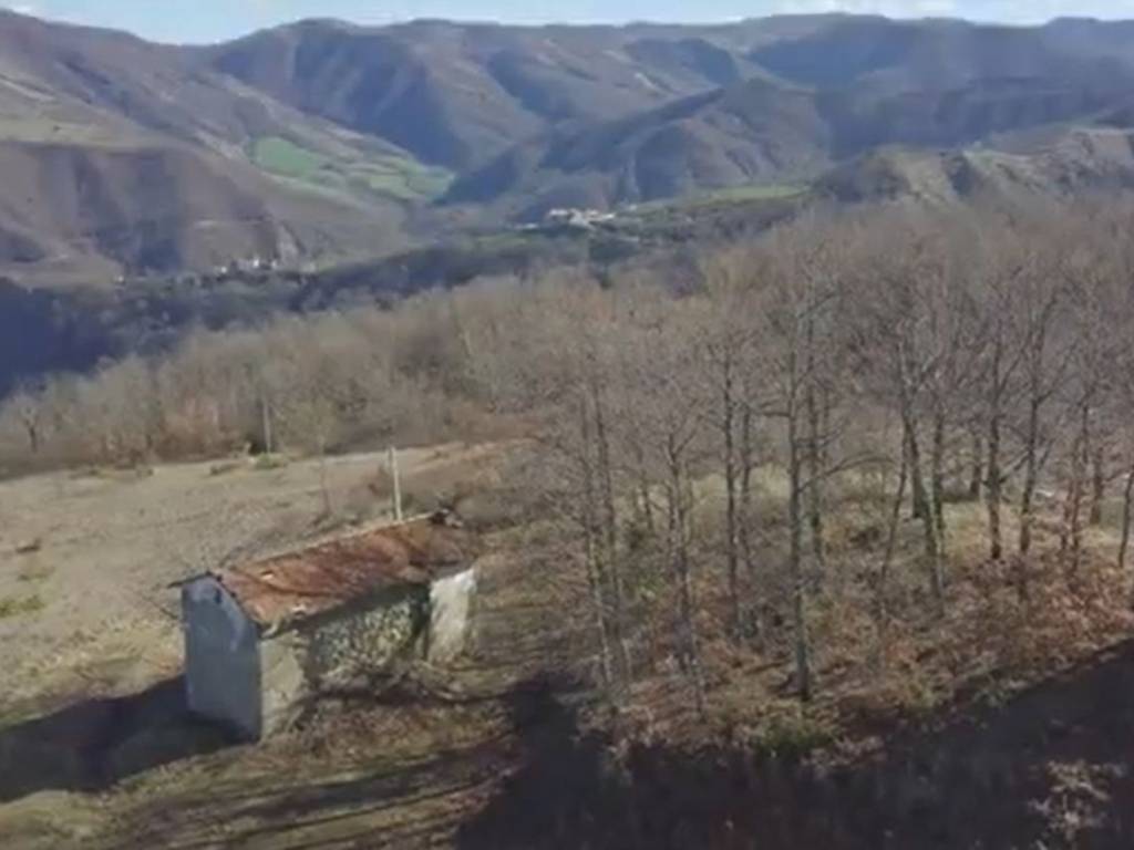 immagine annuncio 2 di 4