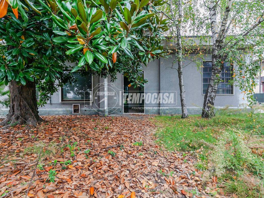 immagine annuncio 1 di 5