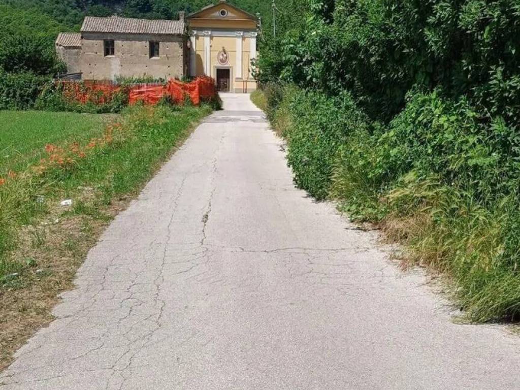 immagine annuncio 2 di 4