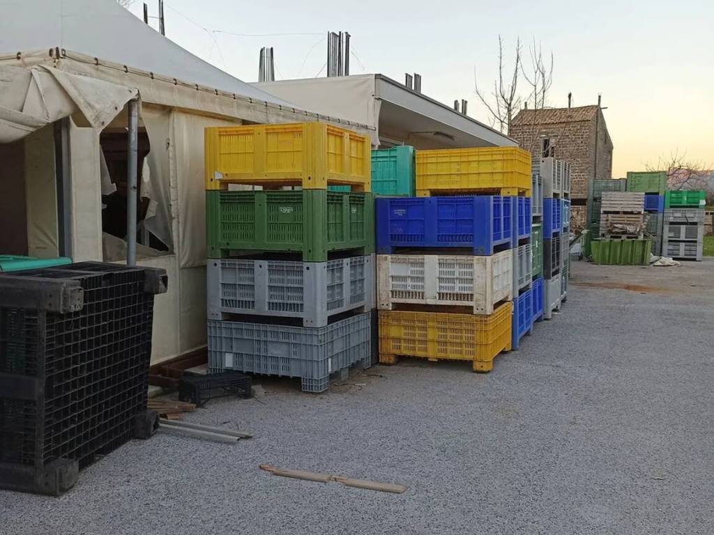 immagine annuncio 2 di 5