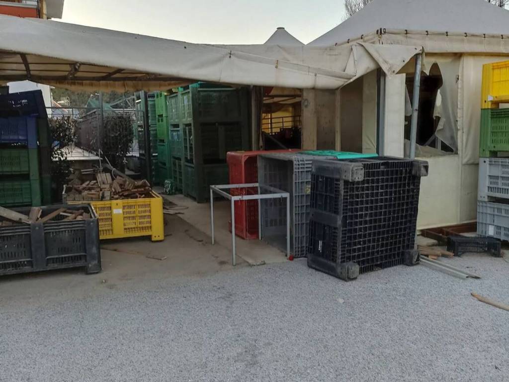 immagine annuncio 3 di 5