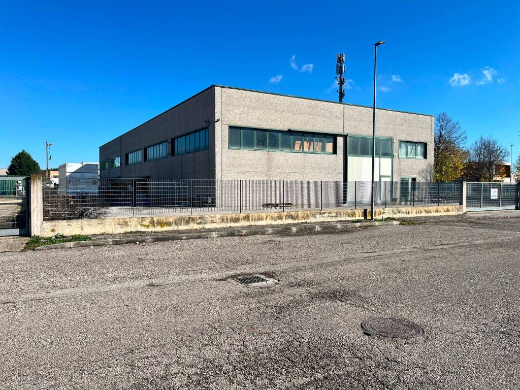 immagine annuncio 2 di 5