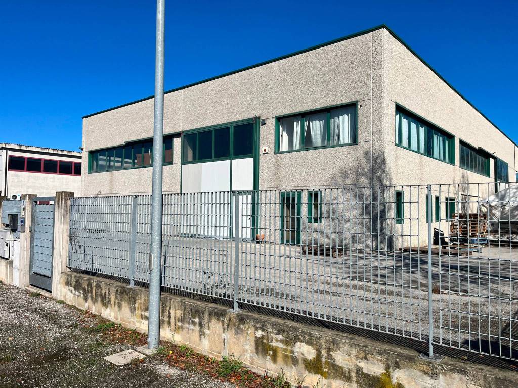 immagine annuncio 3 di 5