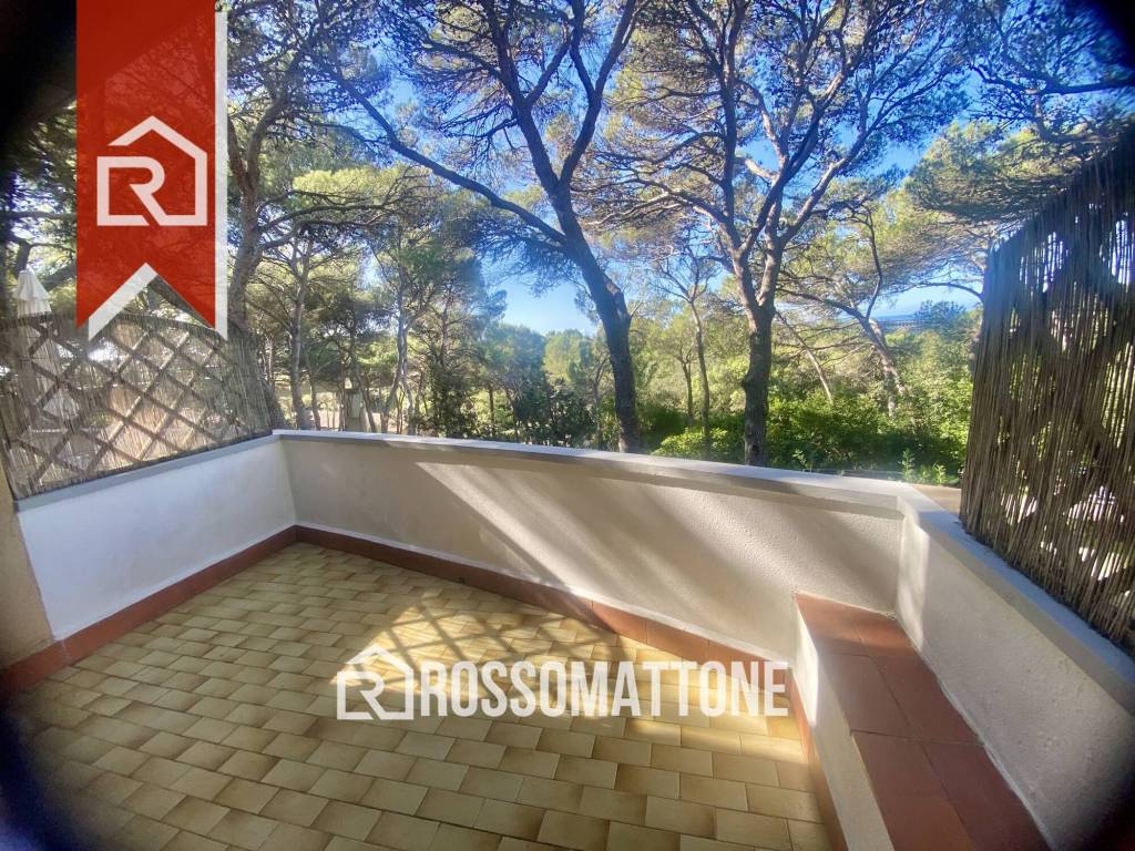 immagine annuncio 1 di 4