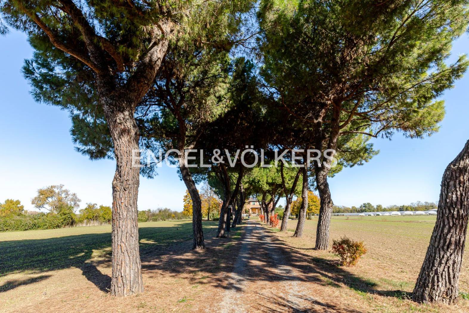 Villa plurifamiliare via della Fornace, Aeroporto, Bologna - Photo 25