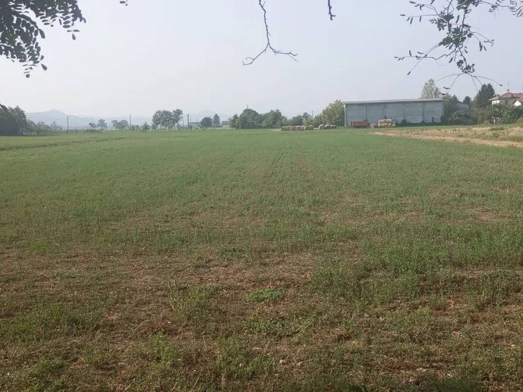 immagine annuncio 1 di 2