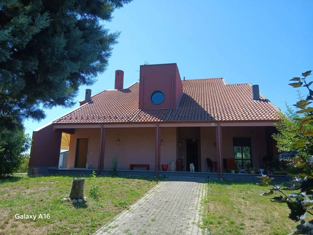 immagine annuncio 3 di 5