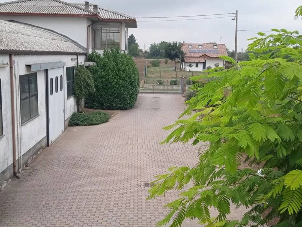 immagine annuncio 2 di 5