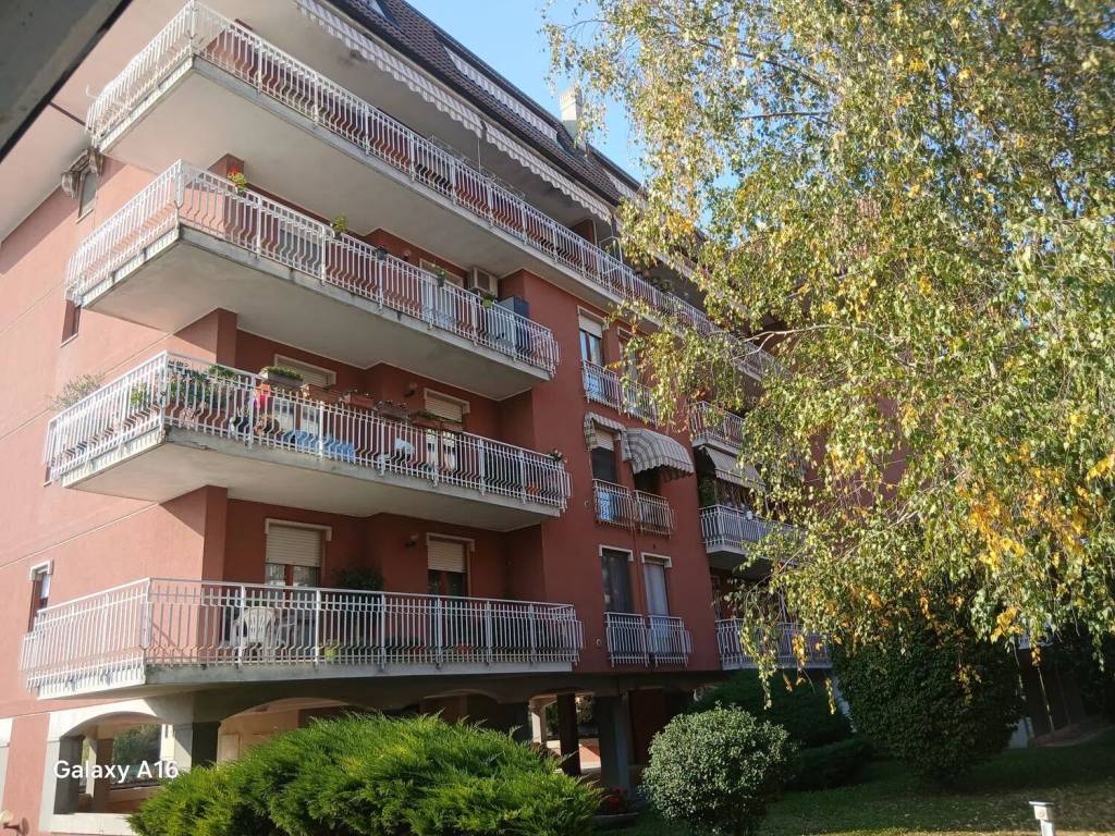 immagine annuncio 1 di 5