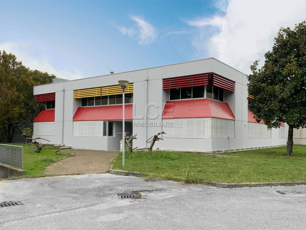 immagine annuncio 3 di 5