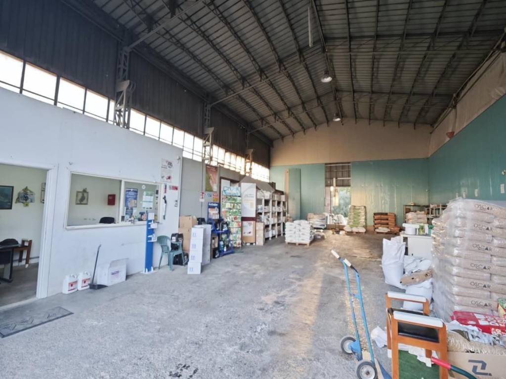 immagine annuncio 4 di 5