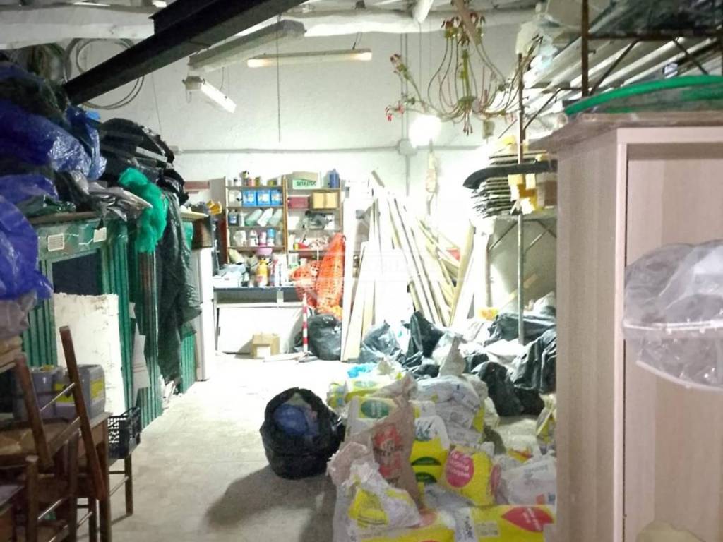 immagine annuncio 2 di 4