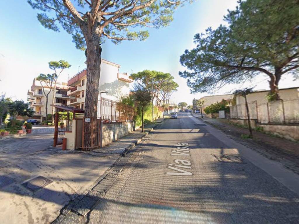 immagine annuncio 2 di 3