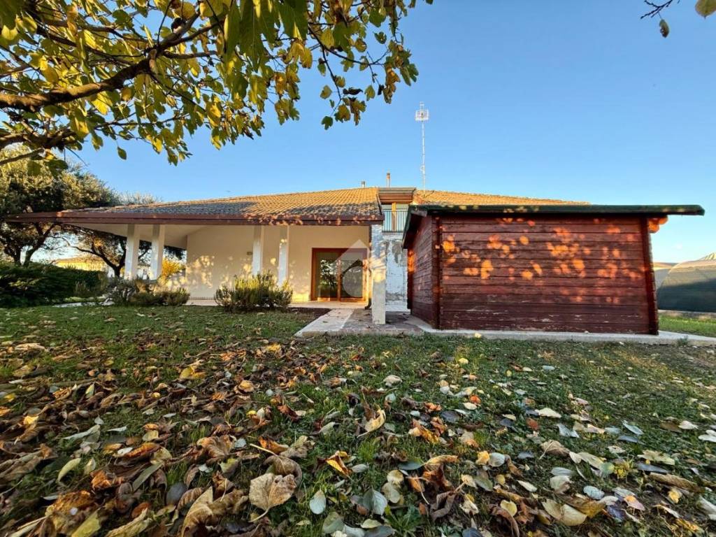 immagine annuncio 4 di 5