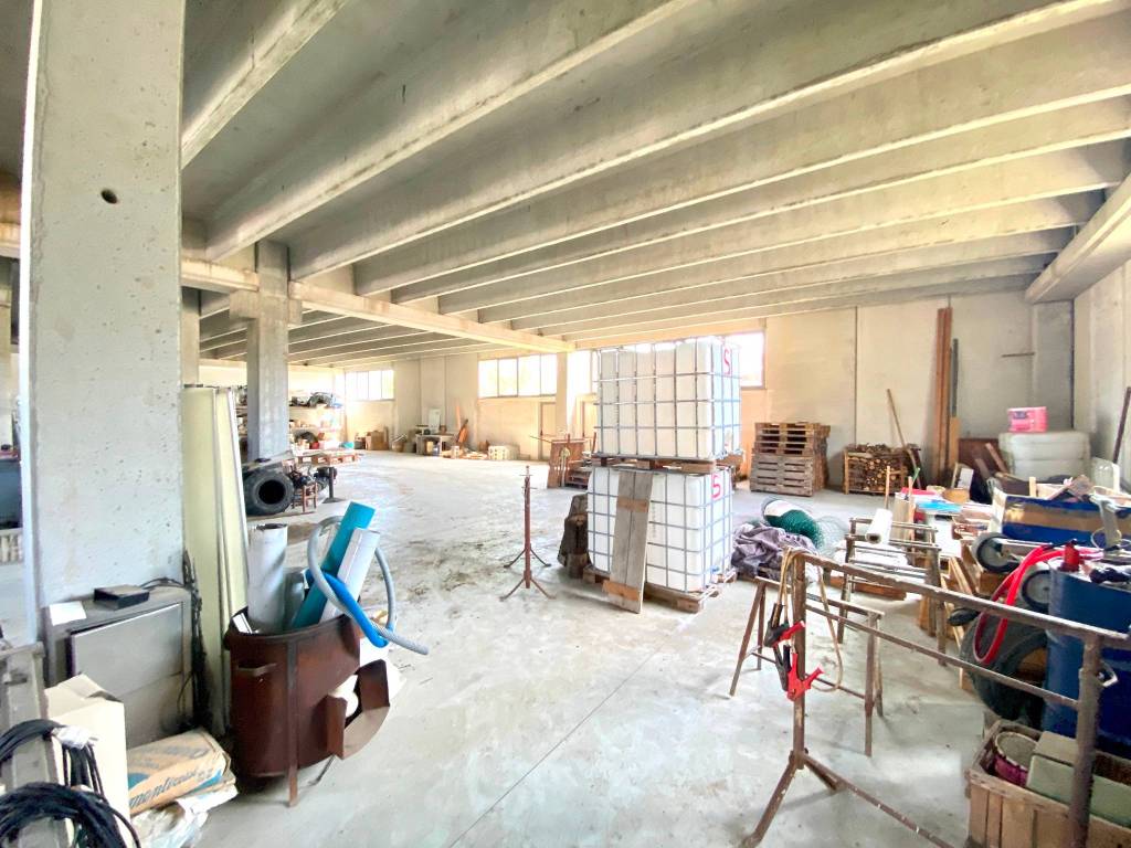 immagine annuncio 4 di 5