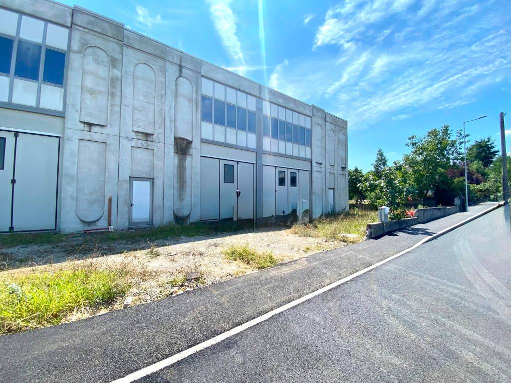 immagine annuncio 2 di 5