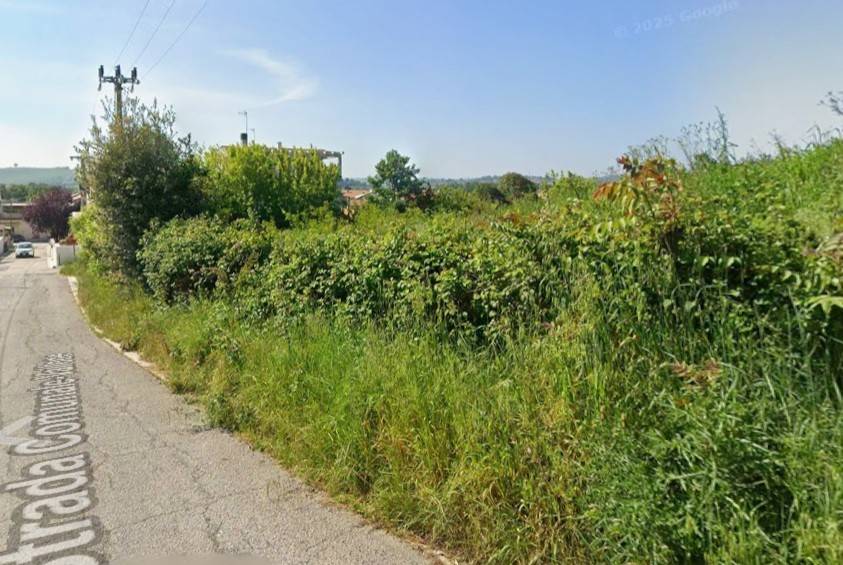 immagine annuncio 2 di 3