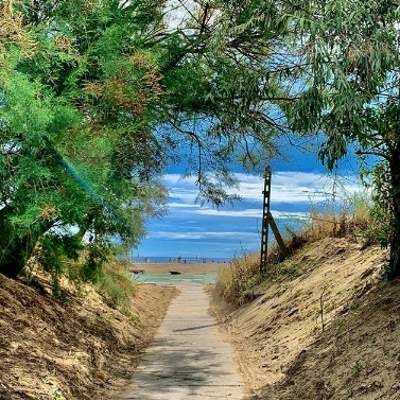 immagine annuncio 4 di 5