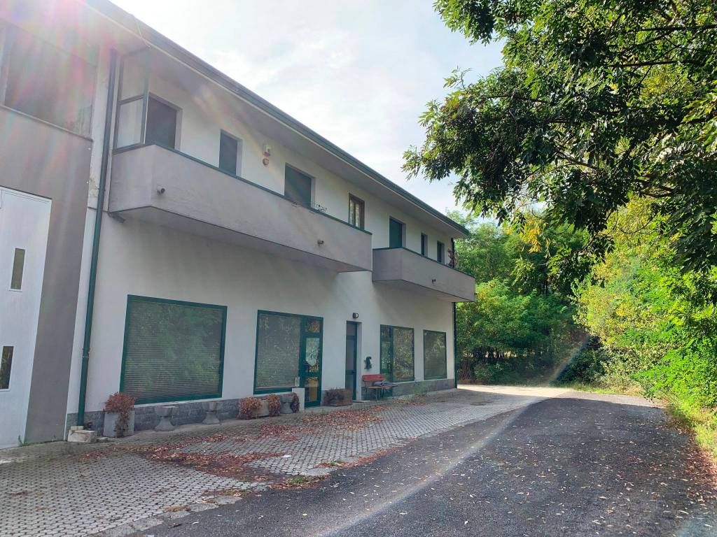 immagine annuncio 2 di 3