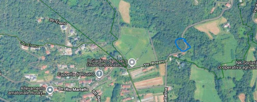 immagine annuncio 1 di 2