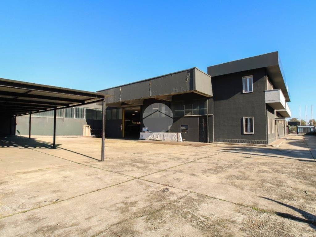 immagine annuncio 4 di 5