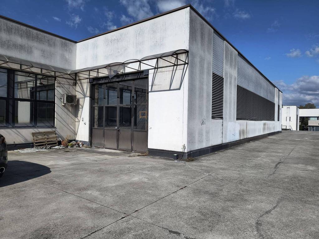 immagine annuncio 2 di 5