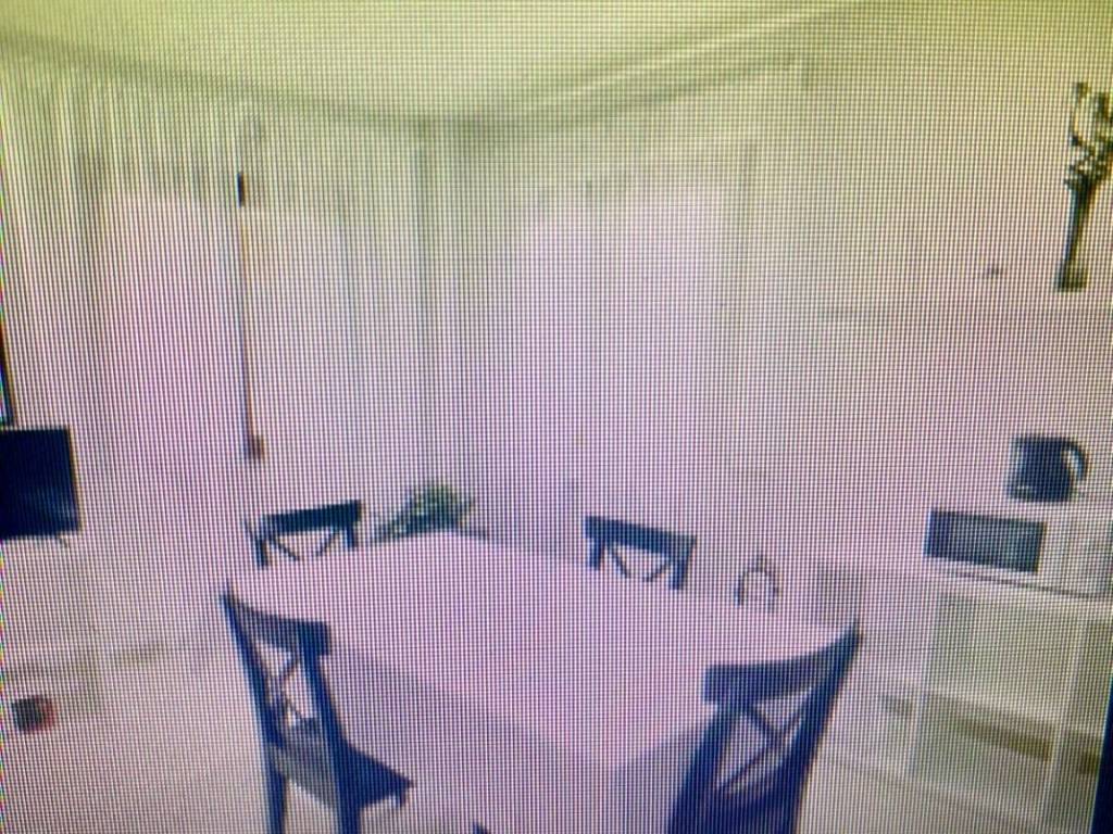 appartamento in affitto a Roma in zona Appio Latino