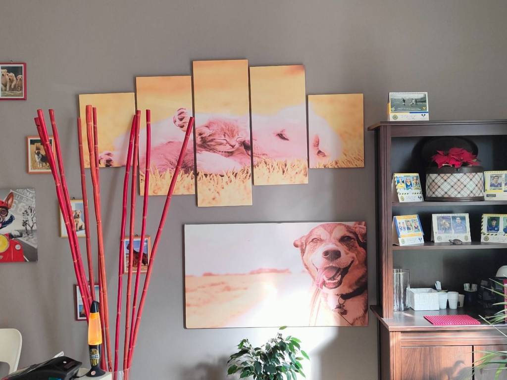 immagine annuncio 2 di 5