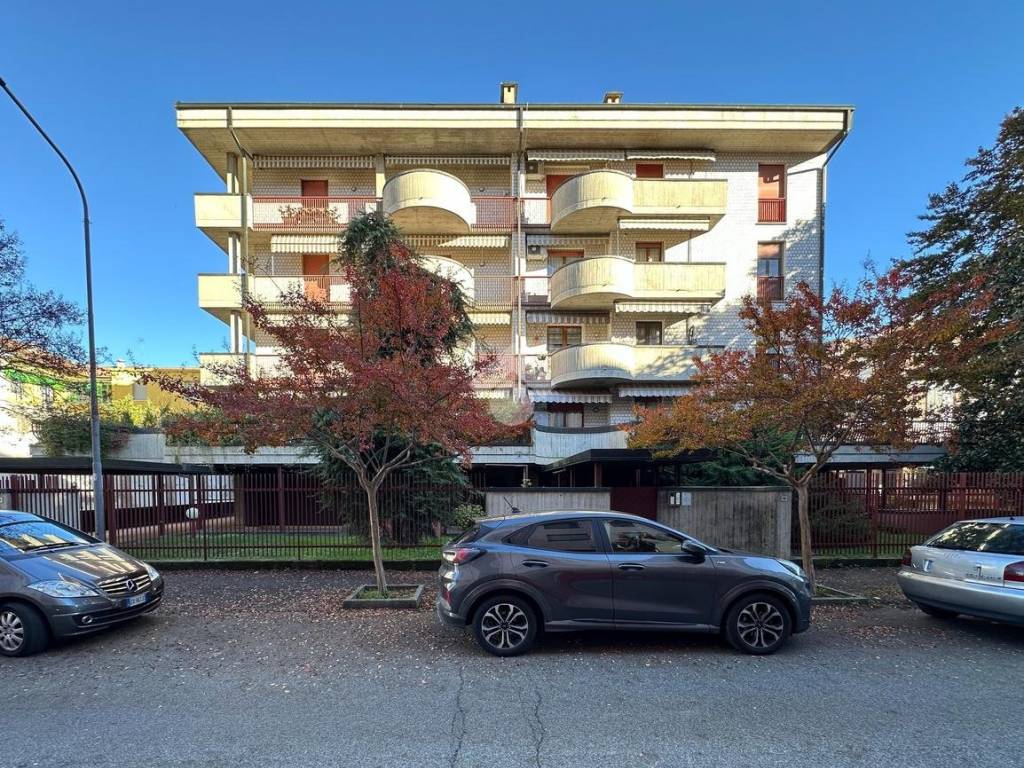 immagine annuncio 1 di 5