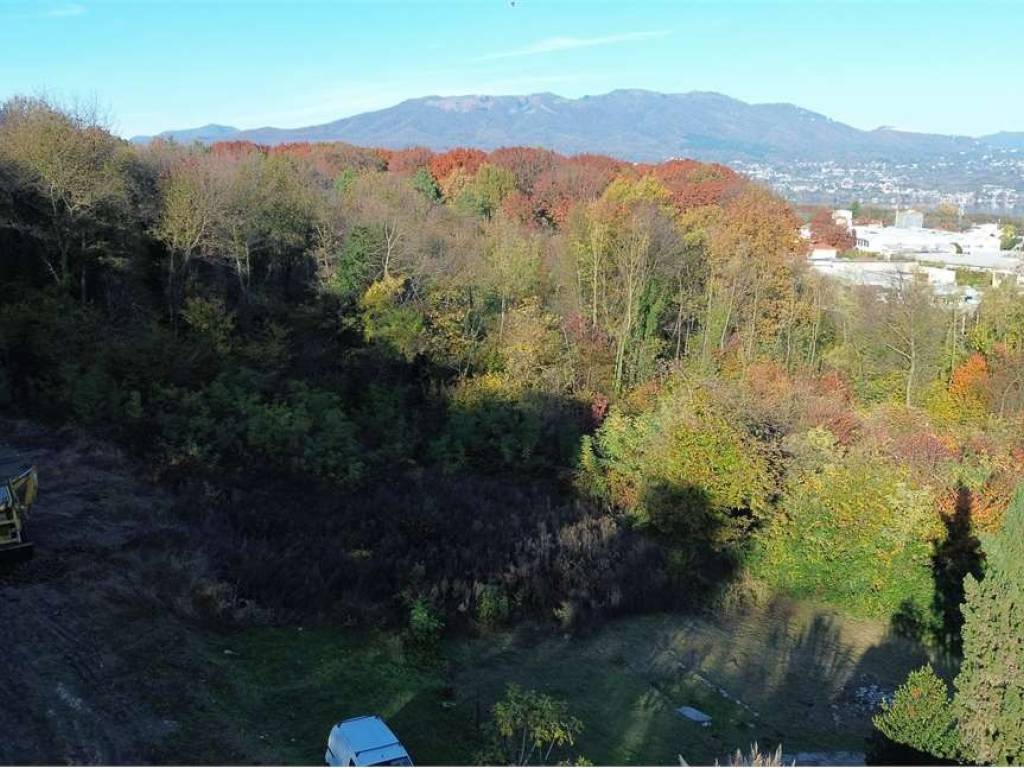 immagine annuncio 3 di 4