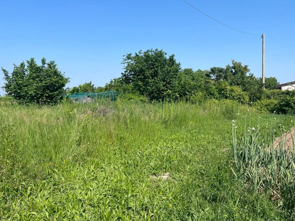 immagine annuncio 3 di 4