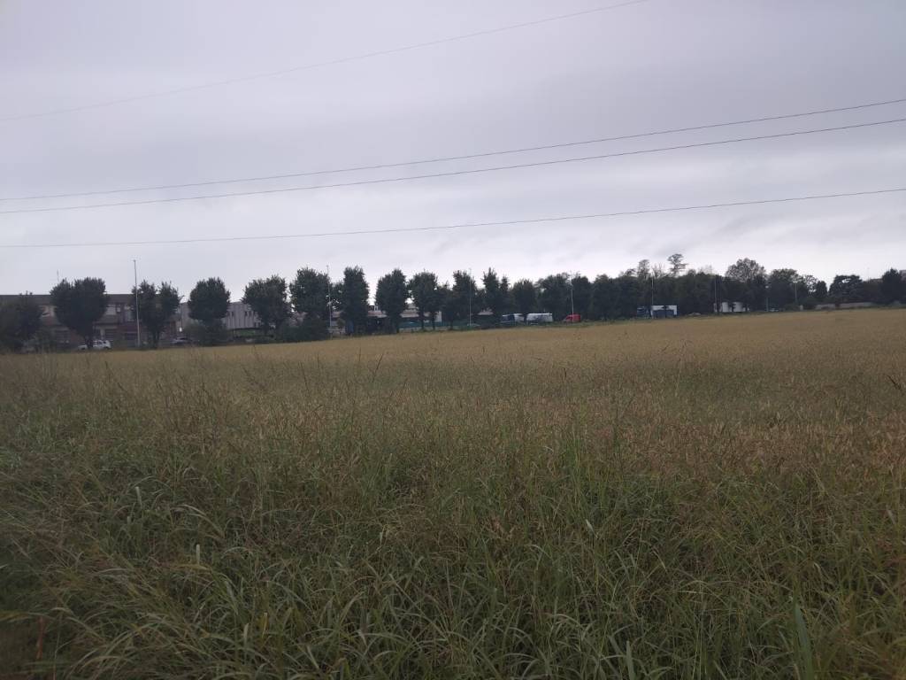 immagine annuncio 1 di 4