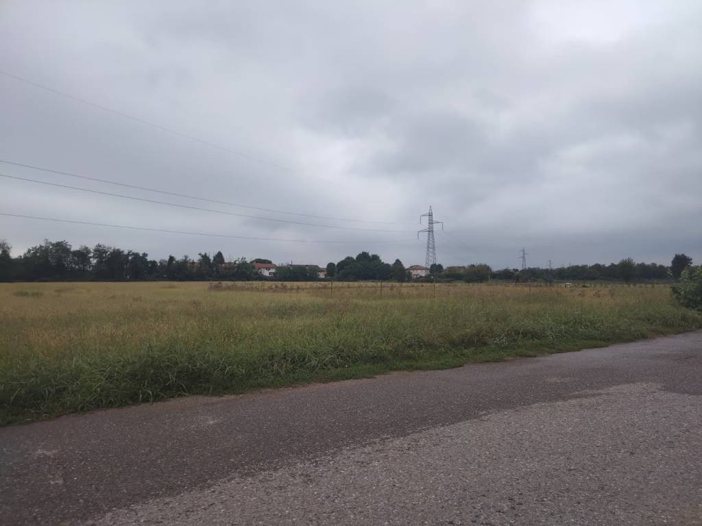 immagine annuncio 3 di 4