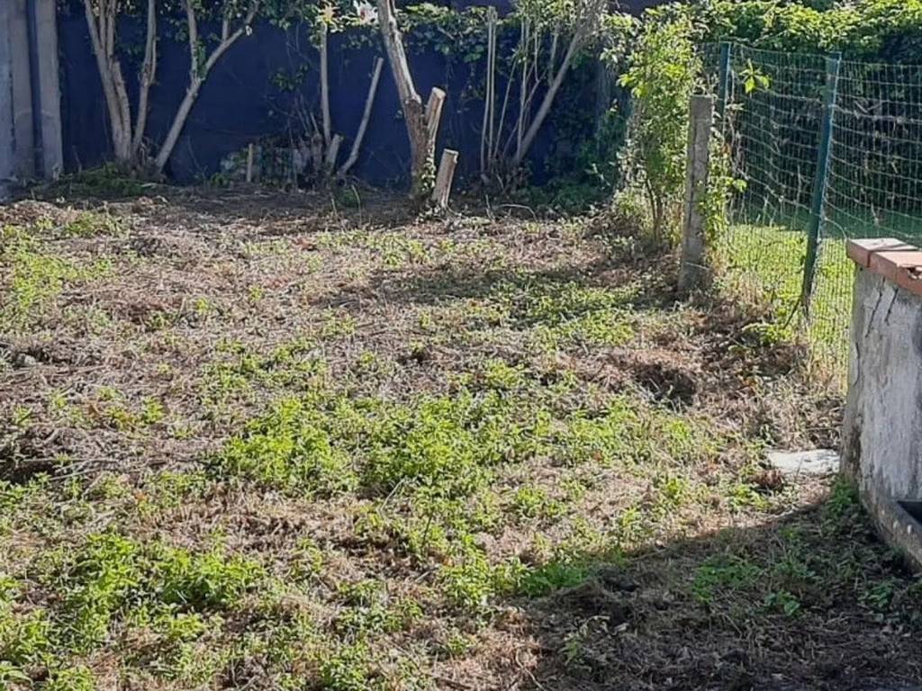 immagine annuncio 2 di 3