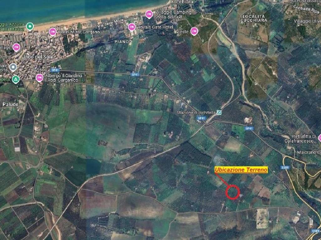 immagine annuncio 1 di 5