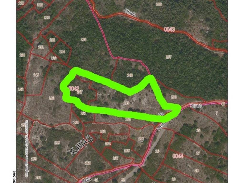 immagine annuncio 1 di 2