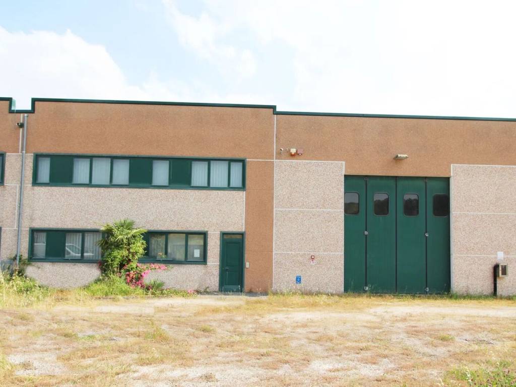 immagine annuncio 4 di 5