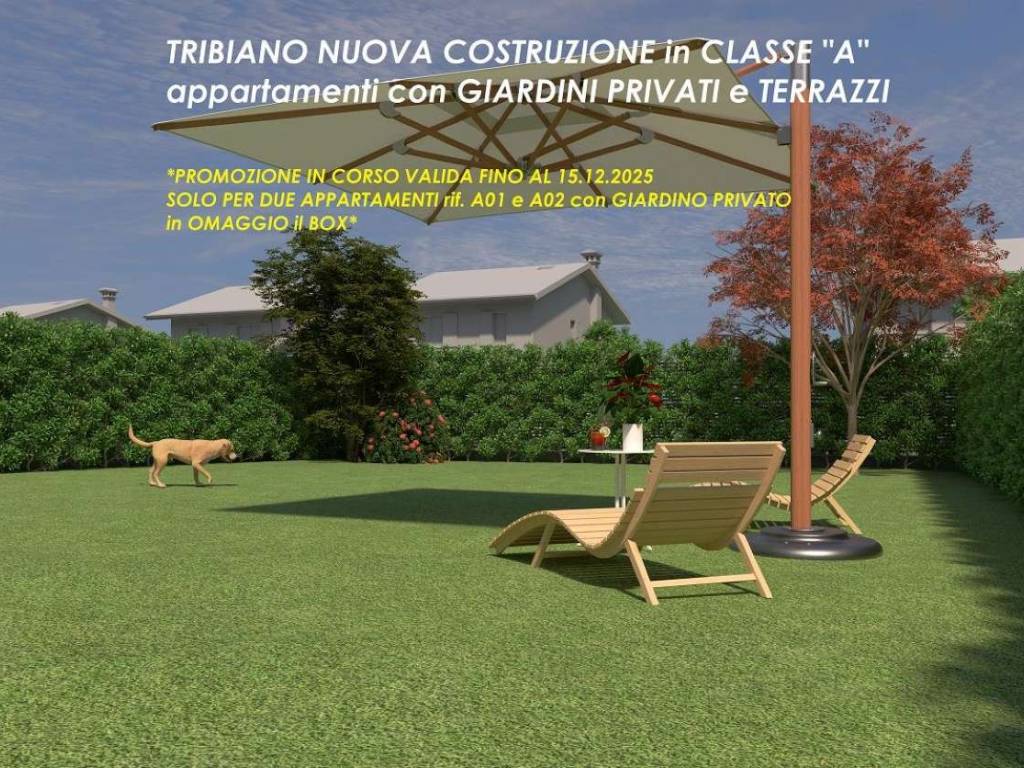 immagine annuncio 1 di 5