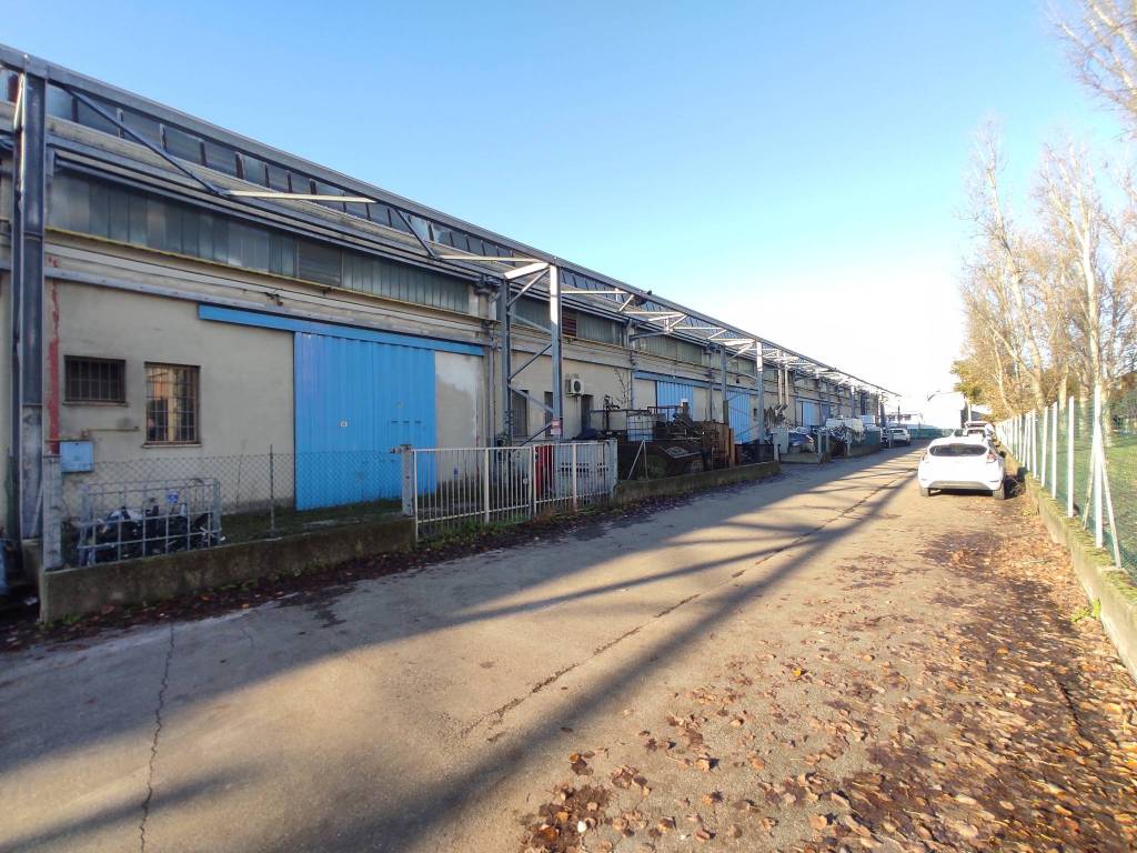 immagine annuncio 3 di 5