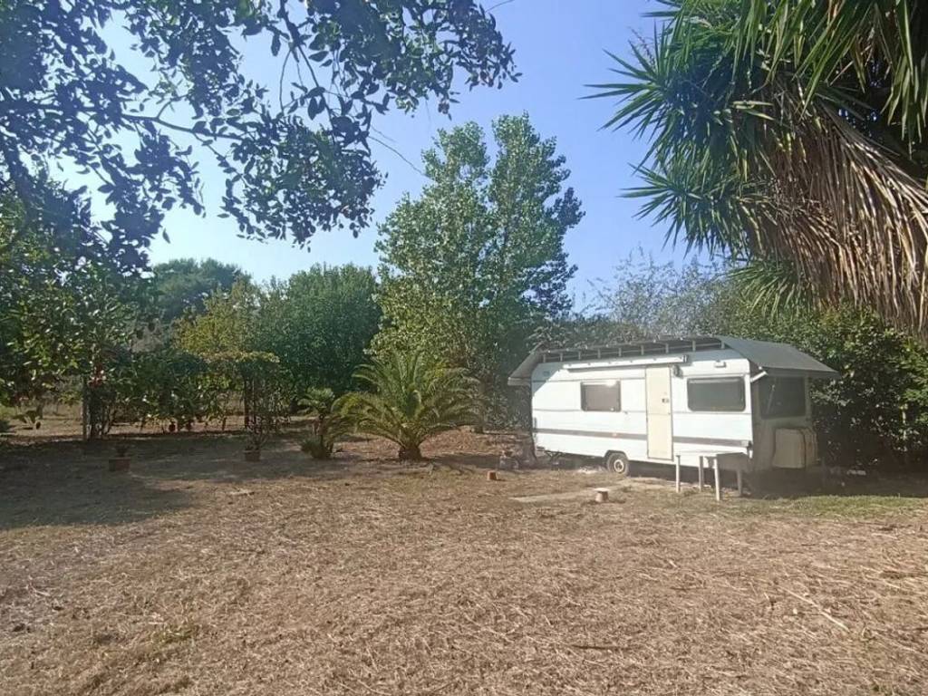 immagine annuncio 2 di 4