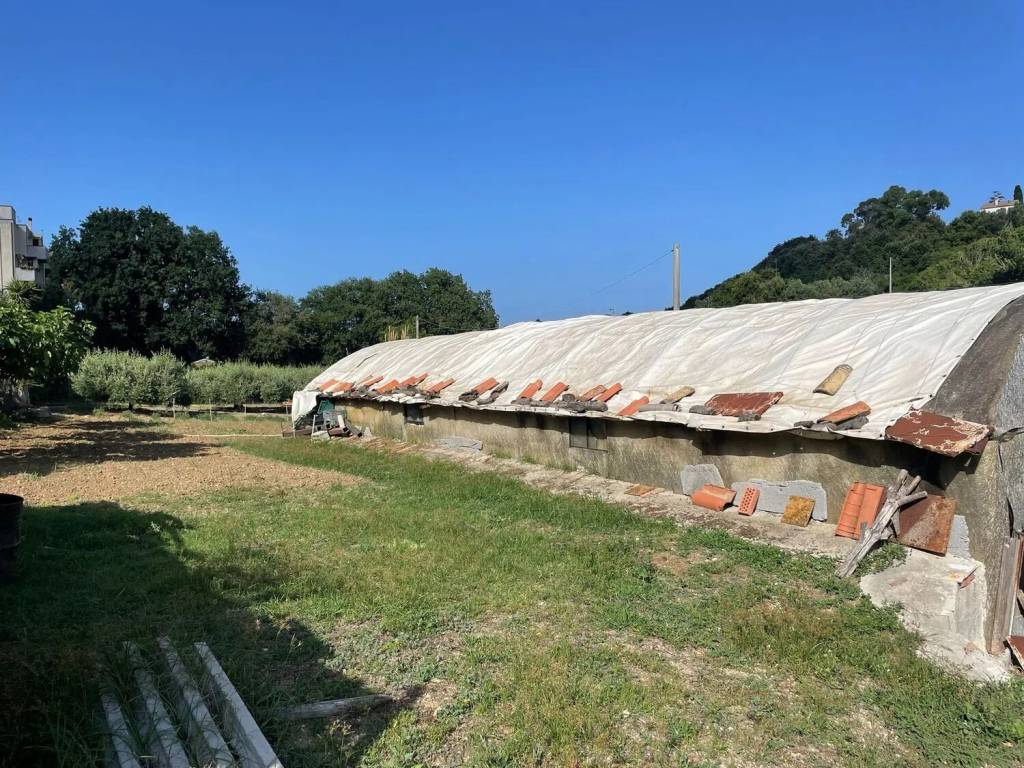 immagine annuncio 2 di 3