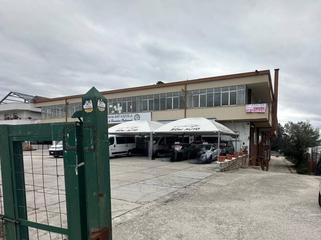 immagine annuncio 4 di 5