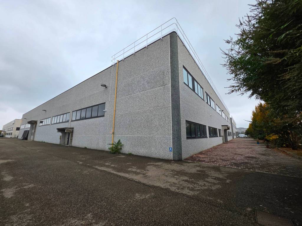 immagine annuncio 2 di 5