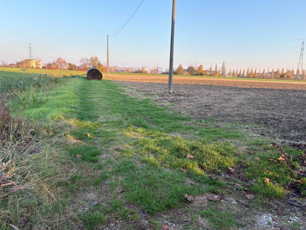 immagine annuncio 2 di 4