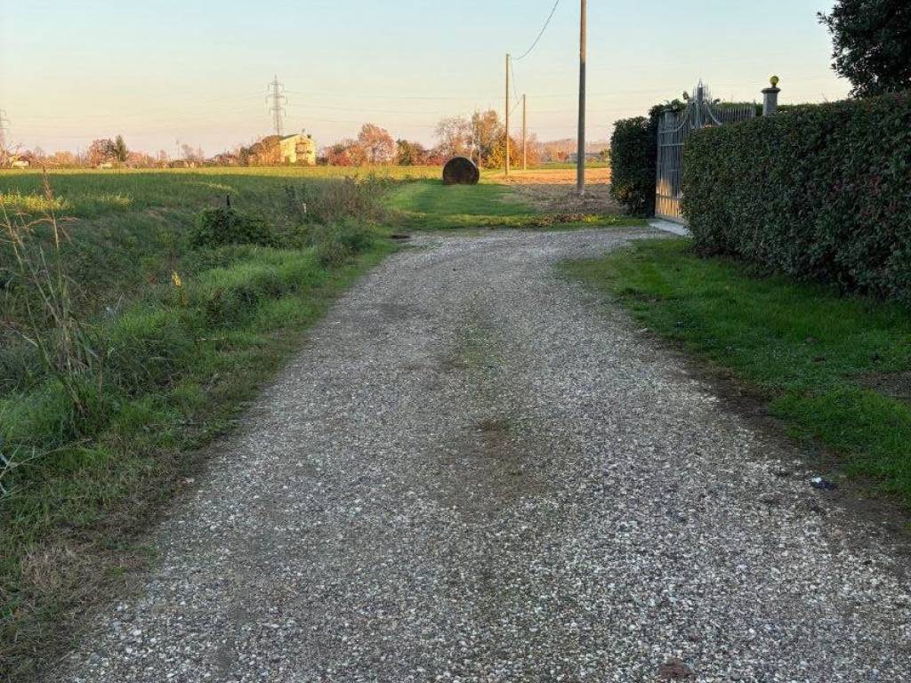 immagine annuncio 1 di 4