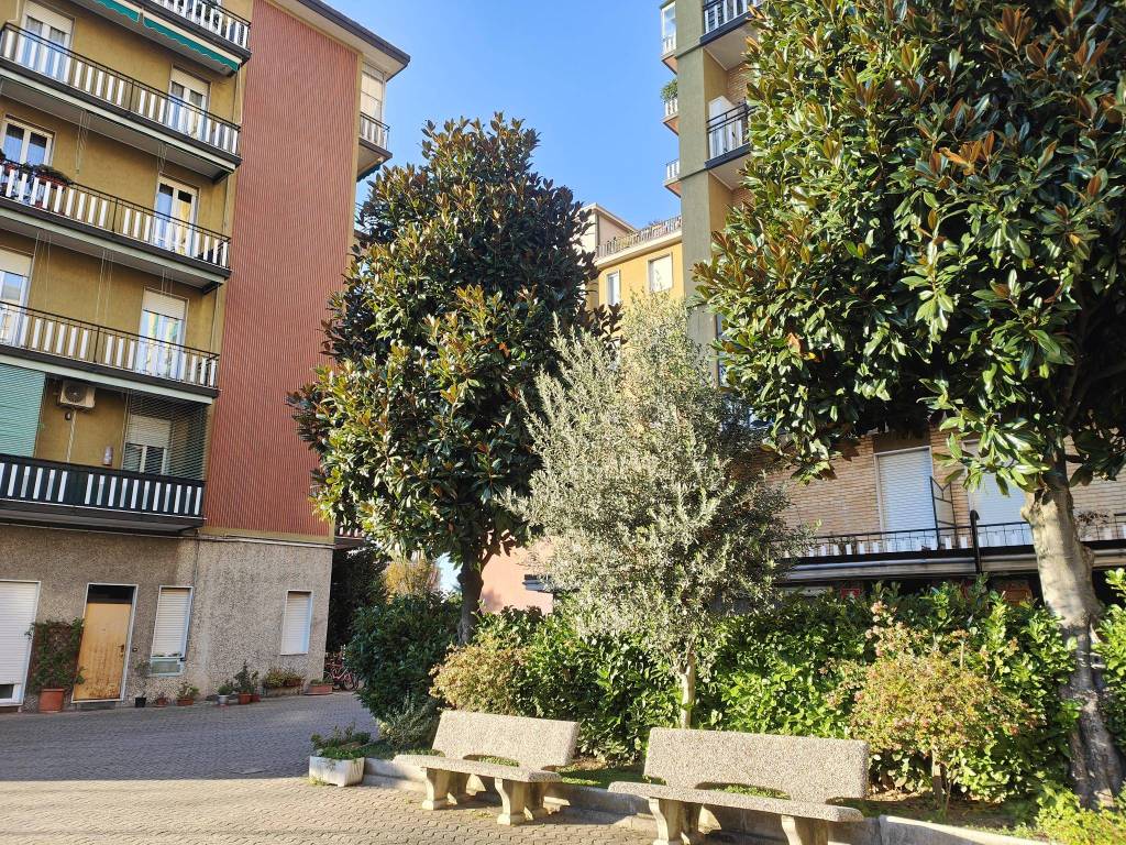 immagine annuncio 3 di 5