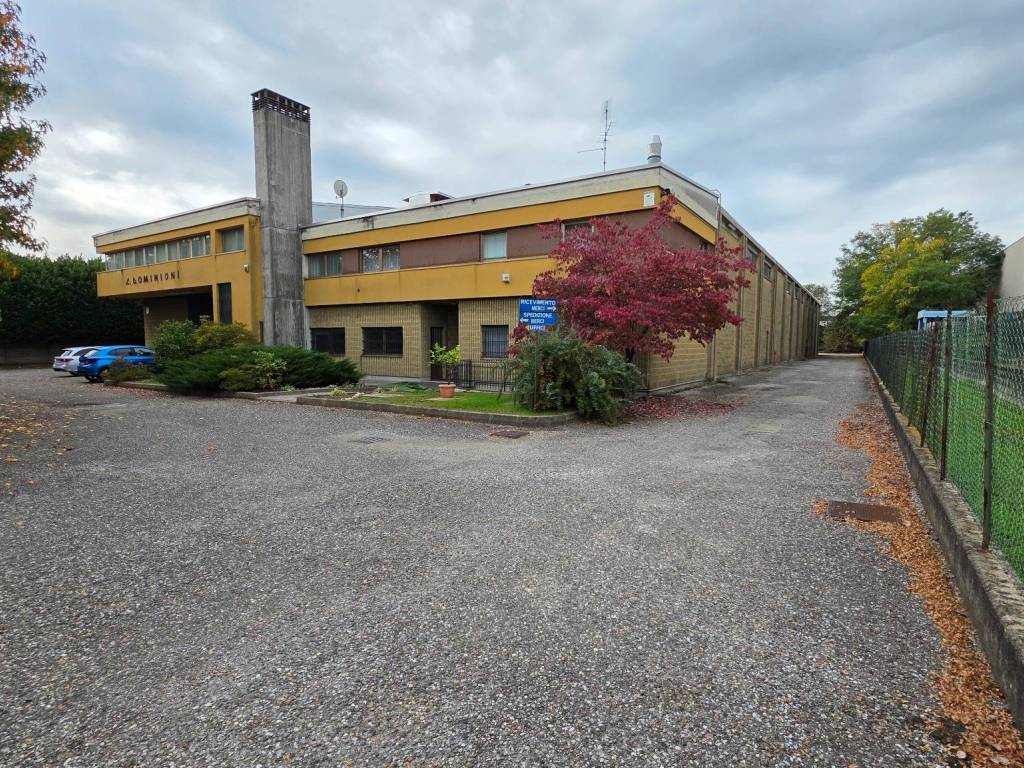 immagine annuncio 1 di 5