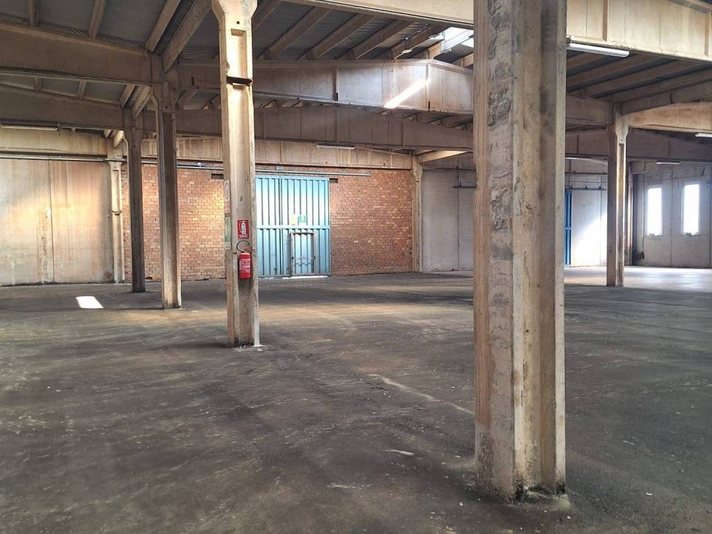 immagine annuncio 3 di 5