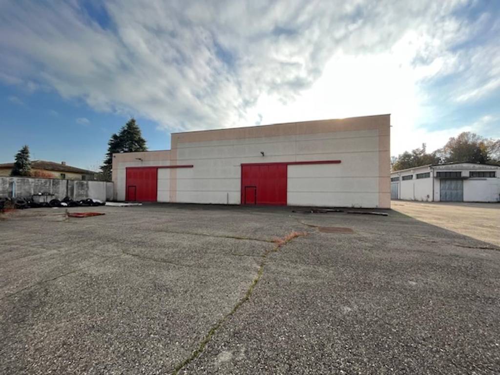 immagine annuncio 2 di 5